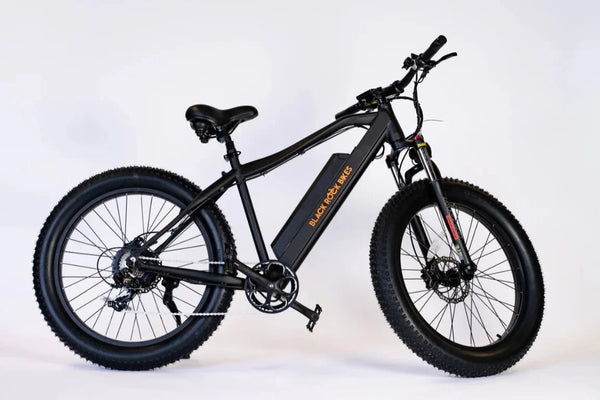 FREESKY Warrior M-530 1000 w Mountain Ebike 4 Fat Tire Electric Fat Tire Mountain eBike
