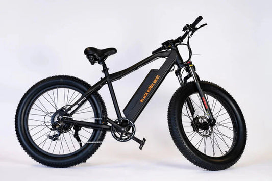 FREESKY Warrior M-530 1000 w Mountain Ebike 4 Fat Tire Electric Fat Tire Mountain eBike