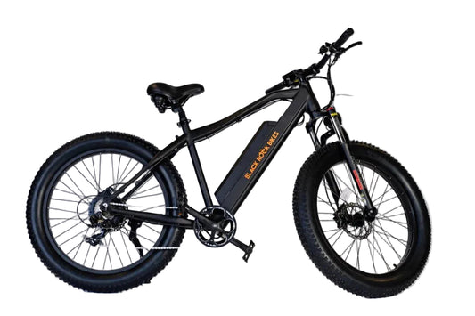 BlackRock Island Warrior Electric Bike 750W – Fat Tire Mountain Ebike